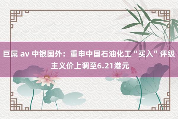 巨屌 av 中银国外：重申中国石油化工“买入”评级 主义价上调至6.21港元