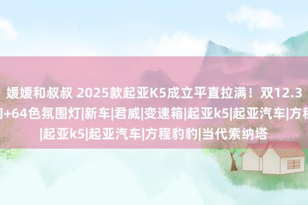 媛媛和叔叔 2025款起亚K5成立平直拉满！双12.3英寸大屏+JBL音响+64色氛围灯|新车|君威|变速箱|起亚k5|起亚汽车|方程豹豹|当代索纳塔